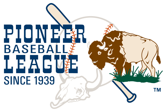 Pioneer League 1990-Pres Primary Logo iron on transfers for clothing